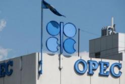 Что значит для Украины решение  ОПЕК сократить объемы добычи нефти