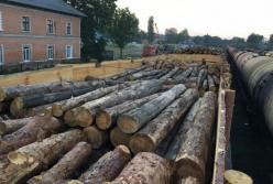 Необходимо антикоррупционное АТО