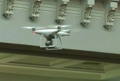 Прекращайте ребячество. Заигрались