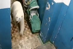  Десятки белых медведей вторглись в российский город, заходя в подъезды и преследуя местных жителей (видео)