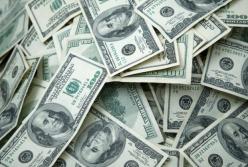 В Украине любят доллары, и это не дает работать экономике