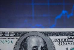 Здравствуй, доллар, Новый год: что поможет гривне удержаться на плаву