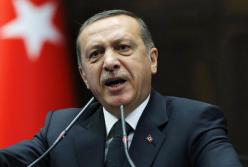 Эрдоган учит Украину гибридной политике