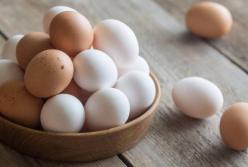 Холестерин необхідний організму: чому потрібно вживати курячі яйця