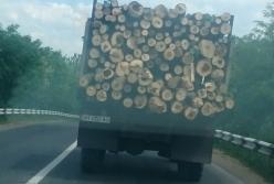 Превращение Донбасса в пустыню продолжается