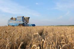 Земельная реформа в Украине: отобрать и поделить