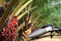 ​Су-35 в обмен на пальмовое масло – гениальный менеджмент «сверхдержавы»