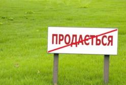 Мораторій на продаж землі - збереження корупції і звичайний популізм