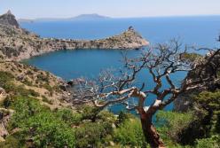 Крым превращается в одну большую свалку