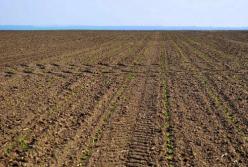 ​Еще один год моратория. Еще один год бедности