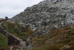 Сміттєва мафія або синдром Грибовичів