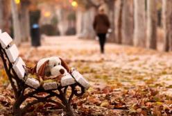 Как справиться с осенней хандрой