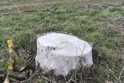 Новости Крымнаша: Бабло заканчивается - остались только зрелища