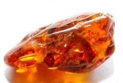 Бурштинову мафію ліквідували чи по-новому очолили?