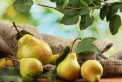 Натуральне джерело харчових волокон: 8 фактів про грушу