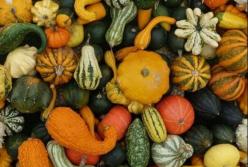 Овощ, который замедляет старение и предотвращает развитие рака