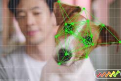 Технология распознавания лиц позволяет собакам самостоятельно делать покупки в Интернете (видео)