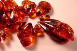 Як формується нова бурштинова мафія