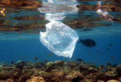 Химическое загрязнение морей и океанов: ученые рассказали о новой опасности