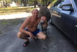 Смертельне ДТП в Києві: винуватця можуть відмазати