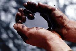  Из-за глупости или за деньги?