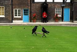 Самые странные суеверия британской королевской семьи