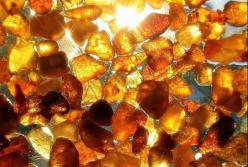 В Україні успішно діє «київська бурштинова республіка»