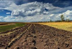 ​Мораторий на землю выгоден России, коррупционеру и олигарху