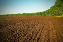 Продление земельного моратория: почему собственники земли останутся бедными