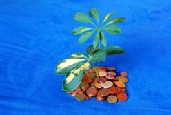 Грядут зачистки: как офшорный скандал отразится на украинском бизнесе 