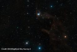 Космические сокровища ESO: Летучая Мышь в темном уголке созвездия Ориона. Чарующее видео 