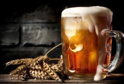 Спасайся кто может: Глобальное потепление ударит по любителям пива