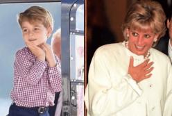 У принца Джорджа с принцессой Дианой одинаковое любимое хобби