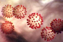 Украину ждет шведско-польский сценарий коронавируса