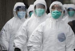 Почему так важно услышать правду о вспышке COVID-19?