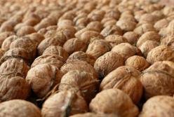 ​Началась великая ореховая война