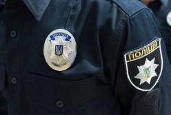 Промежуточные итоги: эксперты проанализировали первый год работы полиции