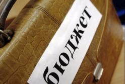 Європейський бюджет розвитку для влади і виживання для народу