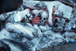 Сезон шашлыков: Как удивить друзей на пикнике с помощью угля для мангала