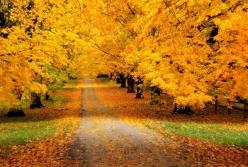 Нас ждет непростая осень