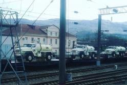 ​Черный лебедь в белой каске