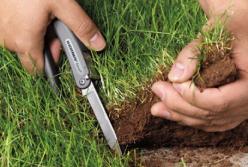 Почему популисты против рынка земли