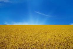 Сценарий политической осени в Украине давно написан