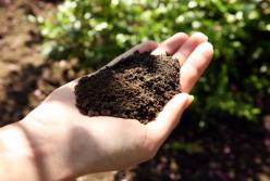 ​Базовые положения относительно собственности на сельскохозяйственную землю