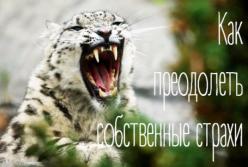 Как преодолеть собственные страхи