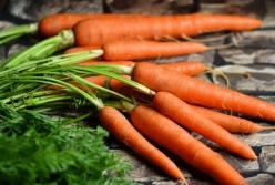 Уся правда про моркву та як її правильно вживати