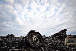 ​В деле сбитого «Боинга» Австралия берет инициативу на себя