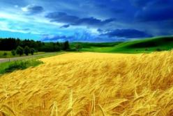 НАБУ становится подразделением ФБР