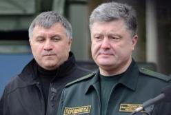 ​Борьба бульдогов под ковром