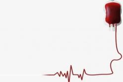 Переливание крови как метод замедлить старение завоевывает популярность по всему миру